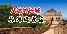 www.操逼.con中国北京-八达岭长城旅游风景区