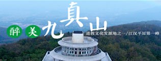 大黑鸡巴操的嗷嗷叫日本女人区