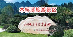 插B小视频免费黄片